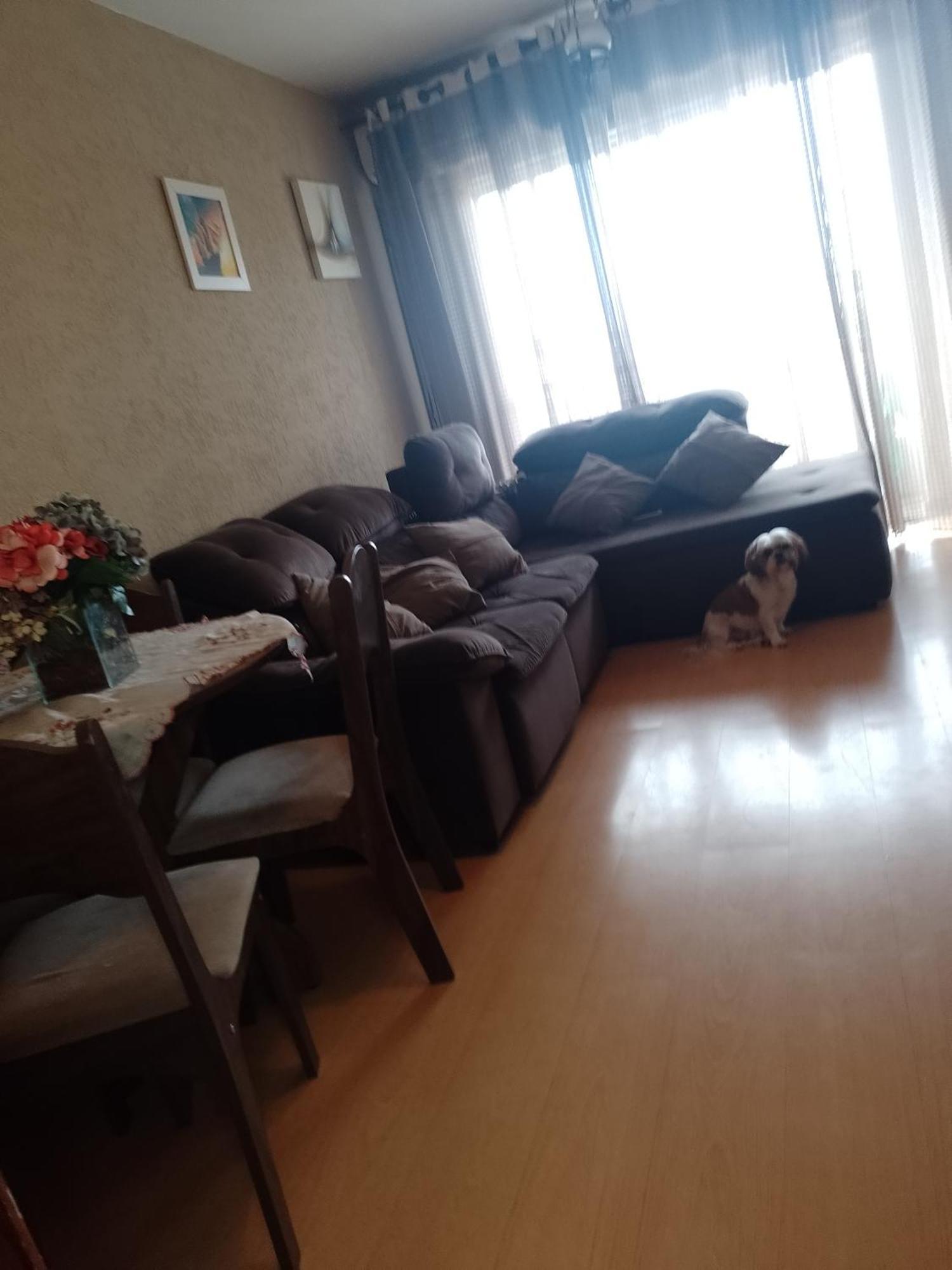 Apartment Apto Proximo Ao Estadio Do Atletico E Shopping